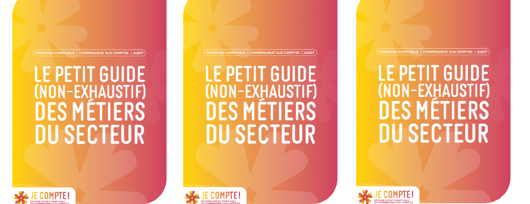 petit guide secteur expertise comptable