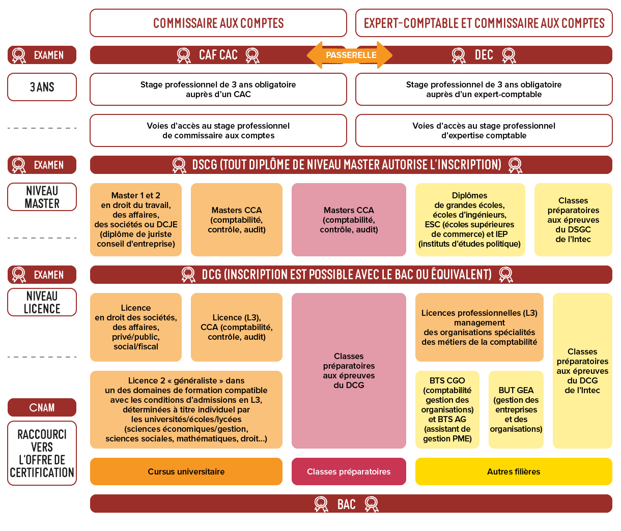 Tableau-specialite-bac-etudes