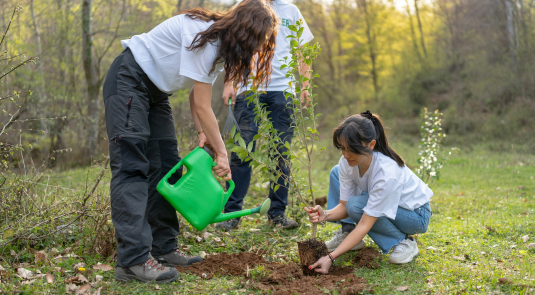  travailler pour la planète sans être ingénieur - Je compte