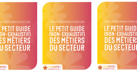 petit guide secteur expertise comptable